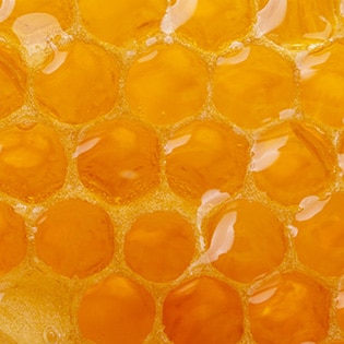 Protecting Pollinators